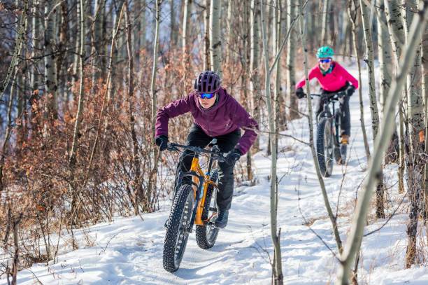 Electric Bike for Winter or Rain