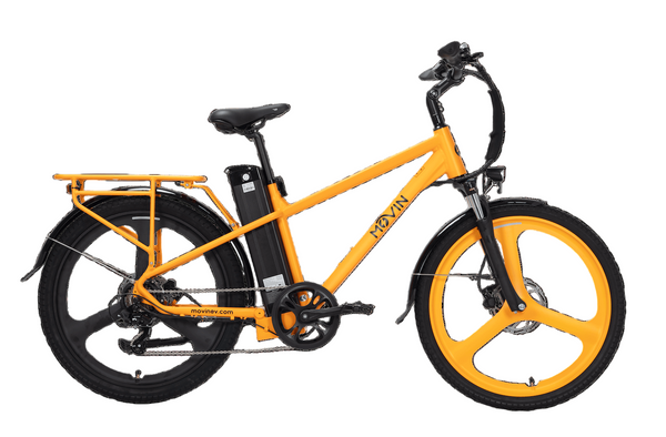 electric bike 